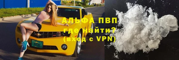 хмурый Пересвет