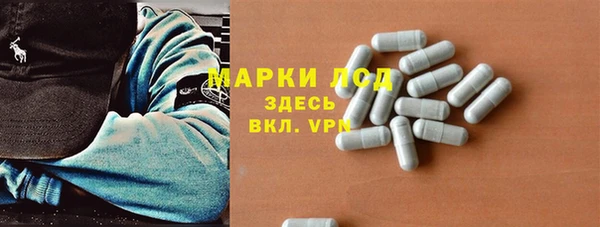 гашик Осташков