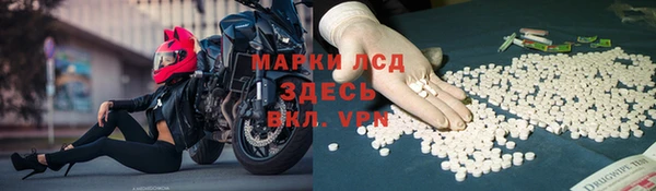 стаф Алзамай