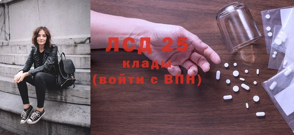 гашик Осташков
