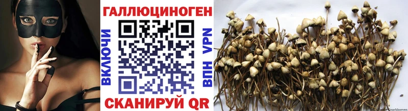 купить закладку  МЕГА tor  Псилоцибиновые грибы Magic Shrooms  Снежногорск 